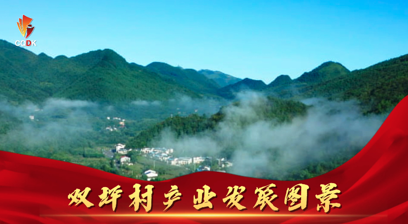“满月”高悬照亮振兴图景③双坪村产业发展图景