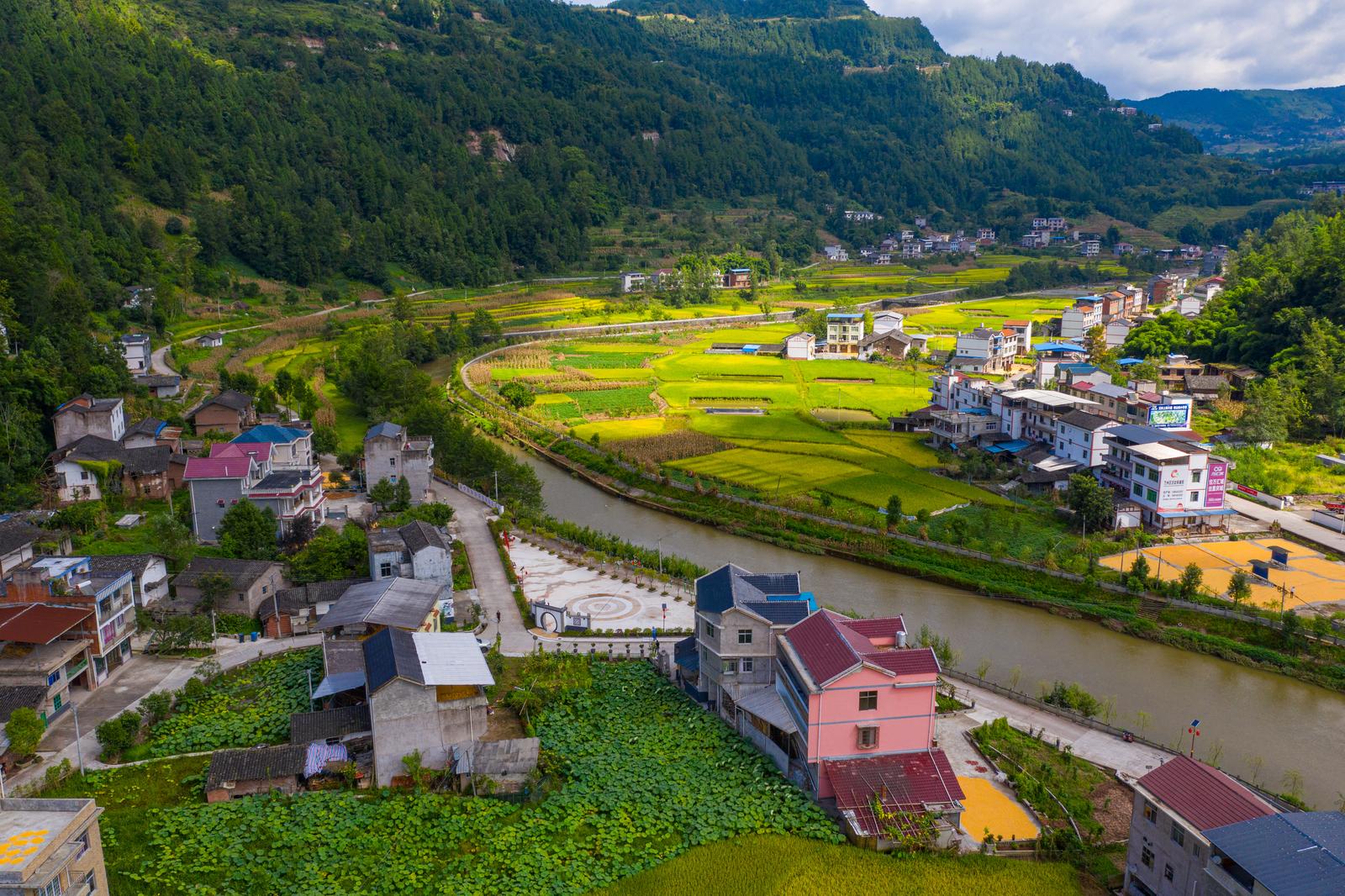 汤原县胜利乡阳光村图片