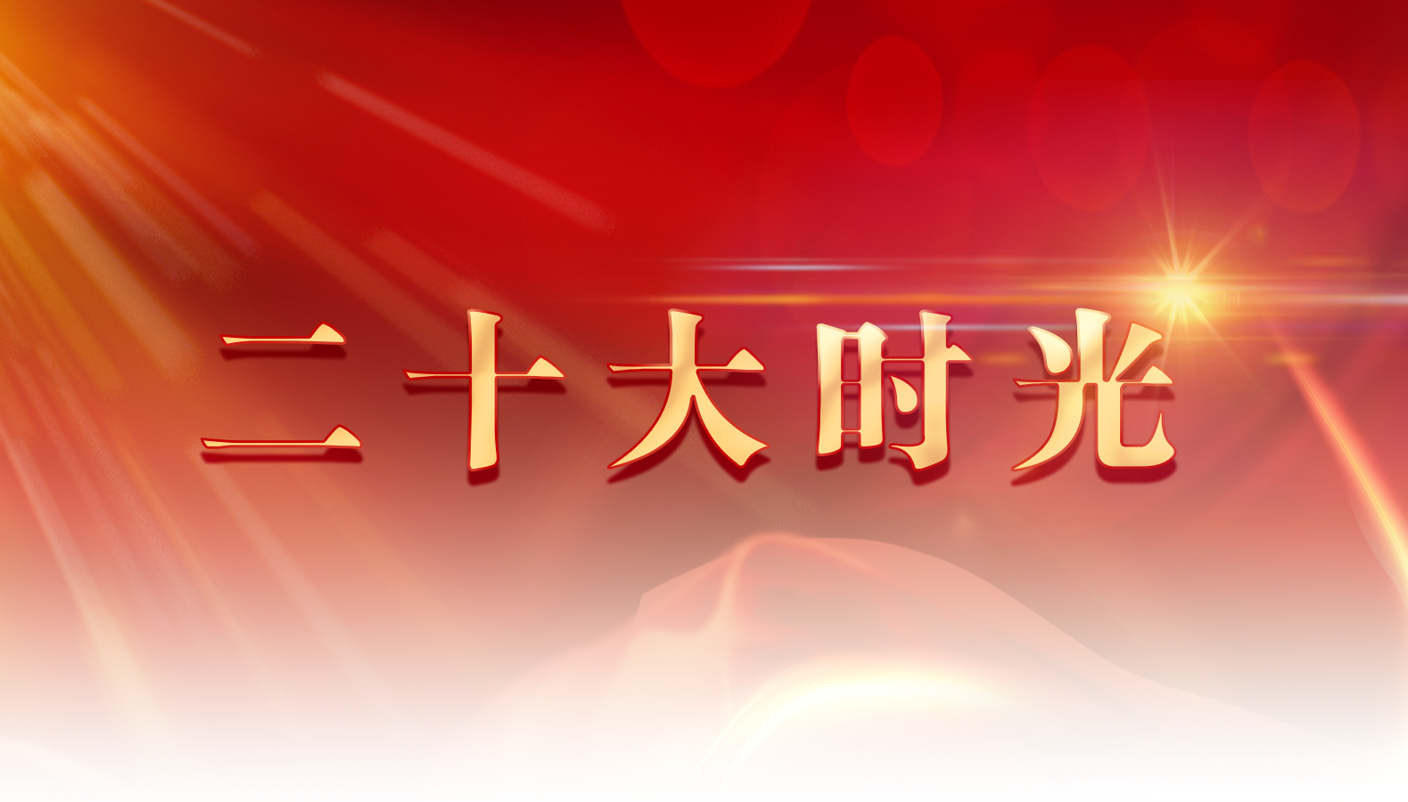 二十大时光