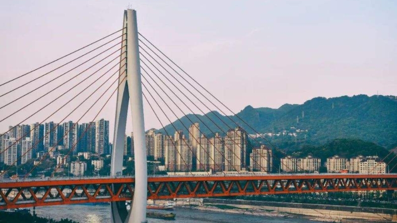 喜看家乡新变化丨“桥都”重庆
