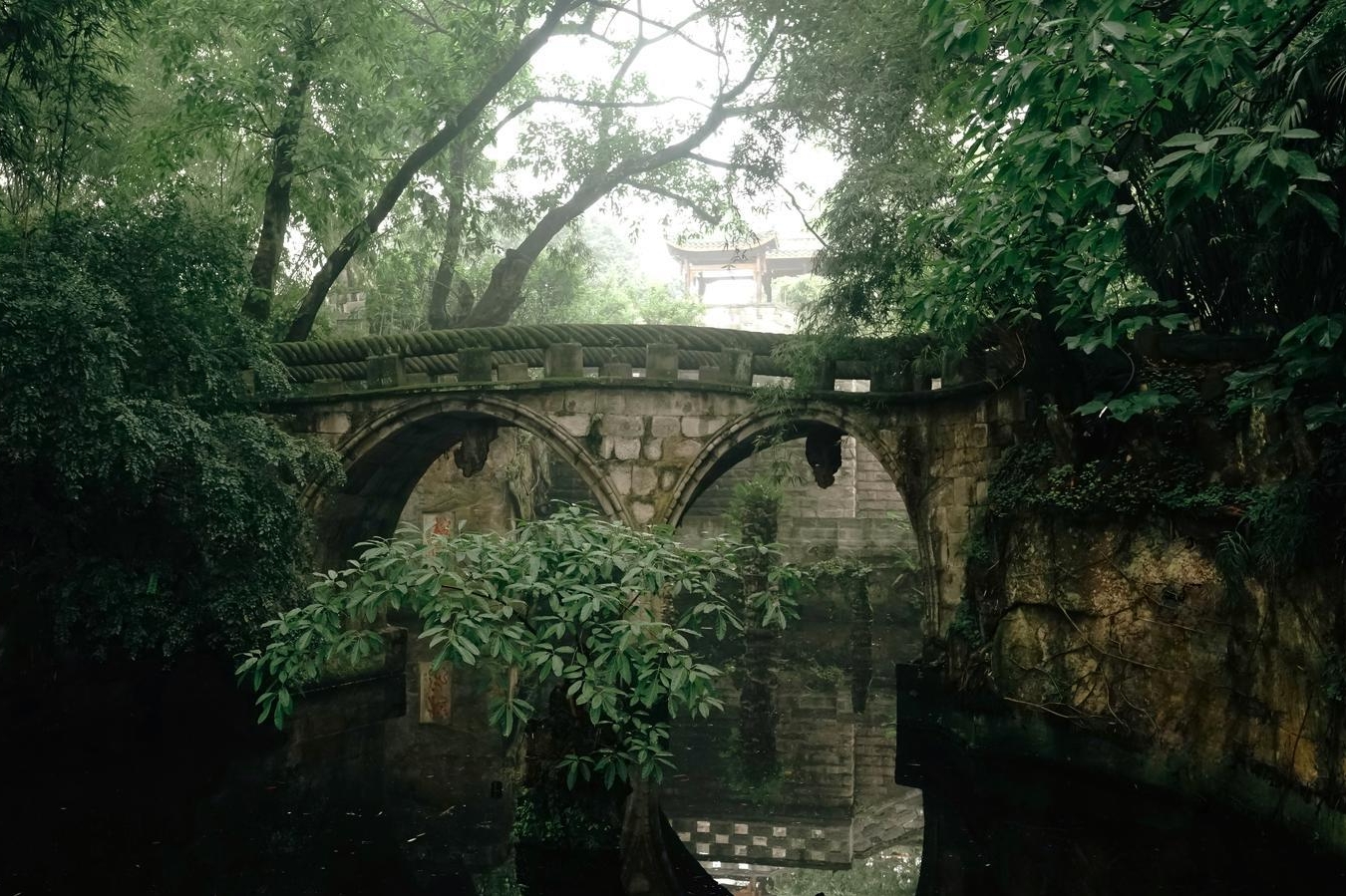 雾霭鹅岭