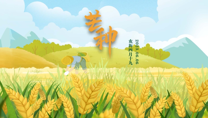 郝安专栏｜芒种赏读：时雨及芒种，四野皆插秧