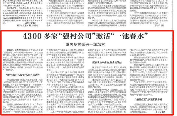 新华每日电讯看重庆丨4300多家“强村公司”激活“一池春水”