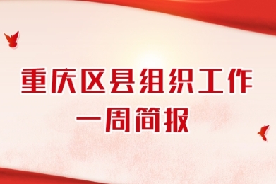 重庆区县组织工作一周简报（04.15-04.21）