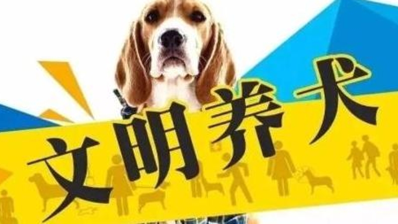 好消息！重庆警方开通养犬注销“掌上办”
