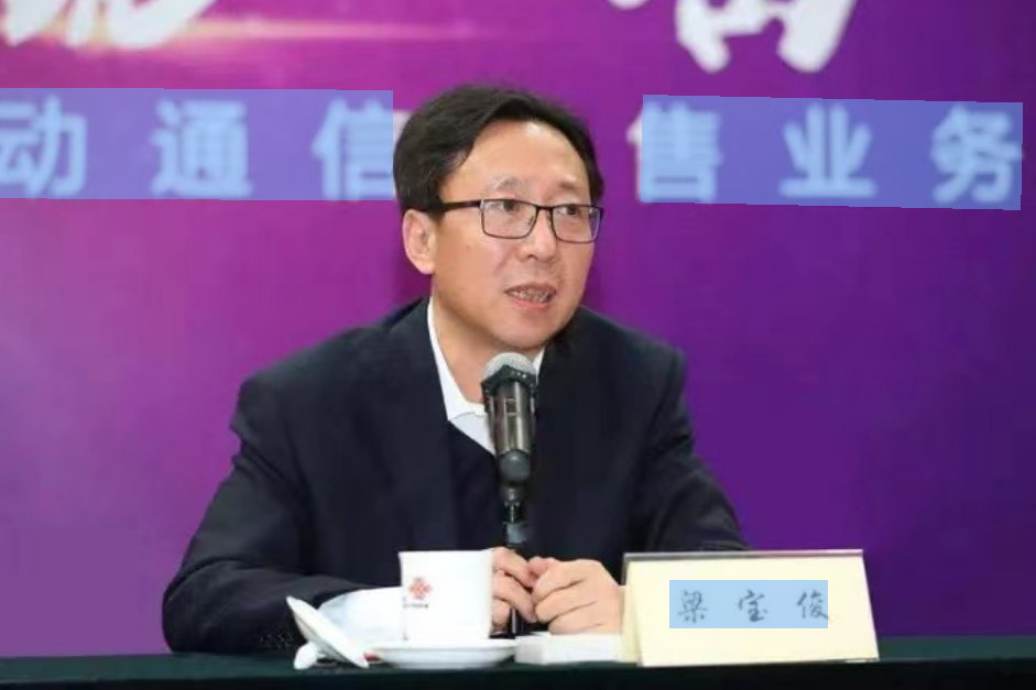 梁宝俊任中国电信集团总经理、党组副书记