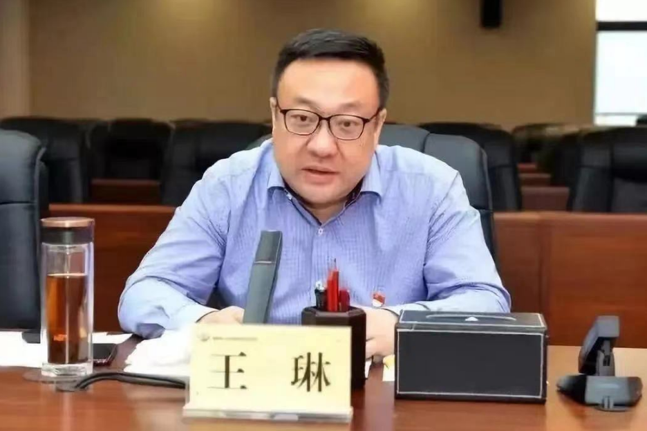 王琳任新疆维吾尔自治区党委常委
