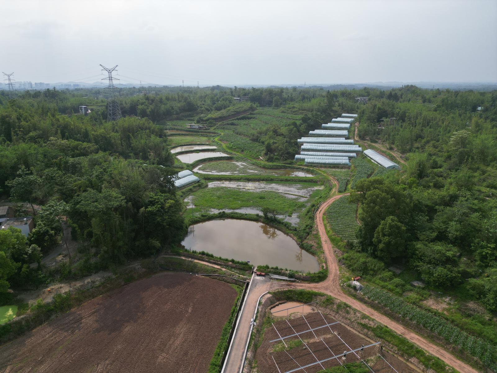 驻村农业公司建设的蔬菜大棚.jpg