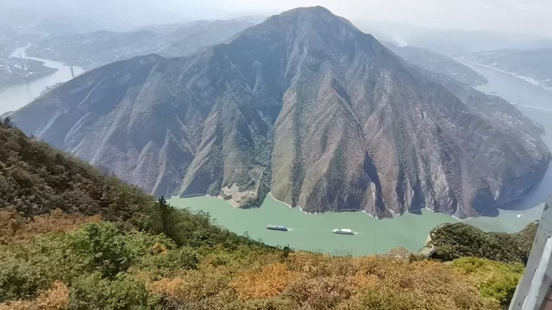 文学｜七绝 • 鹤颜悦色（组诗）