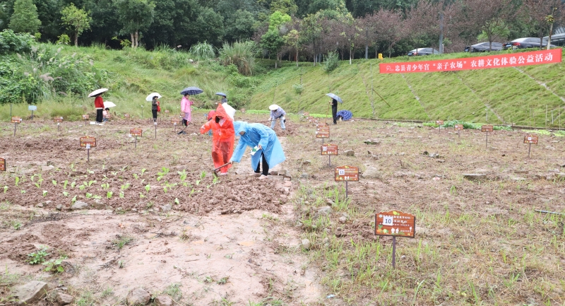 重庆忠县：走进“亲子农场” 体验农耕文化