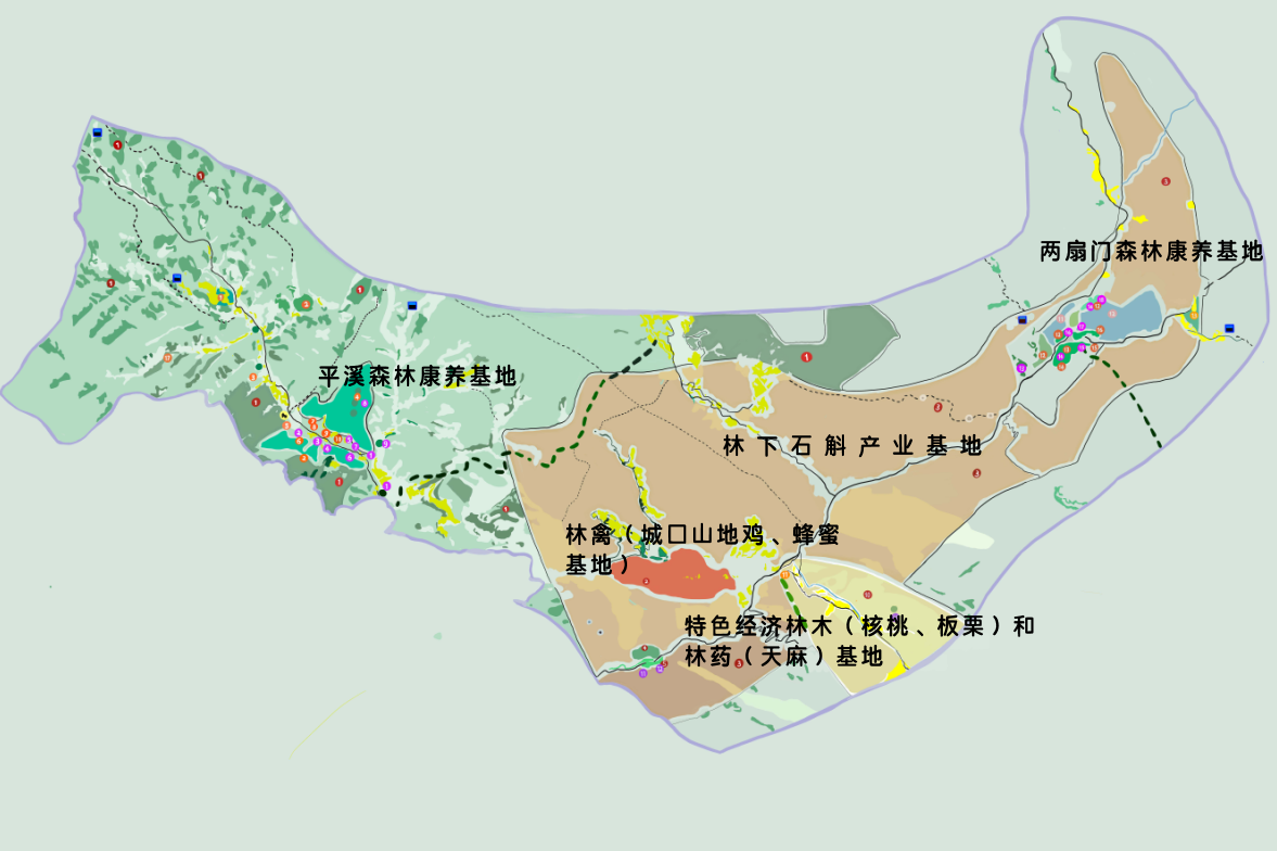 重庆城口河鱼乡：林改破题探路 生态赋能业态