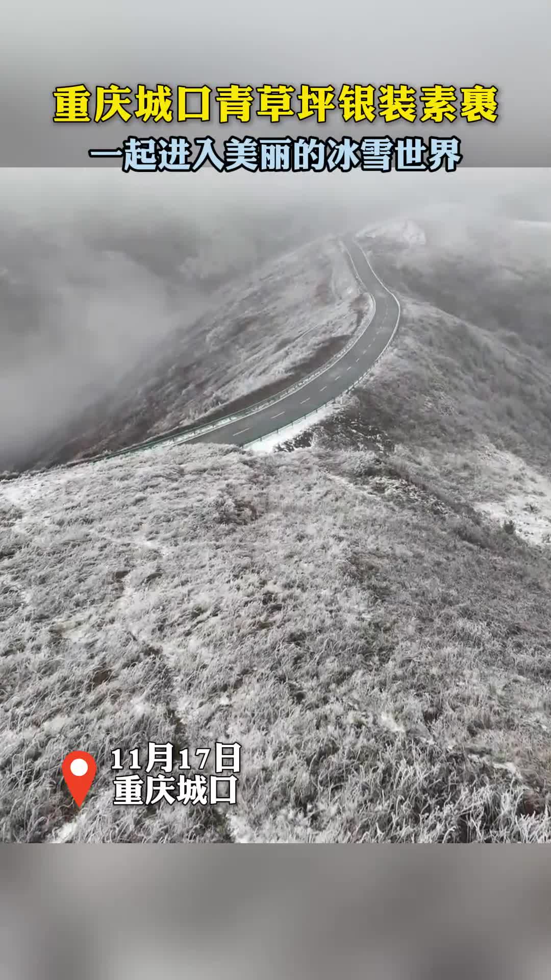 11月17日，重庆城口青草坪银装素裹，和小编一起沉浸式体验美丽的冰雪大世界吧~