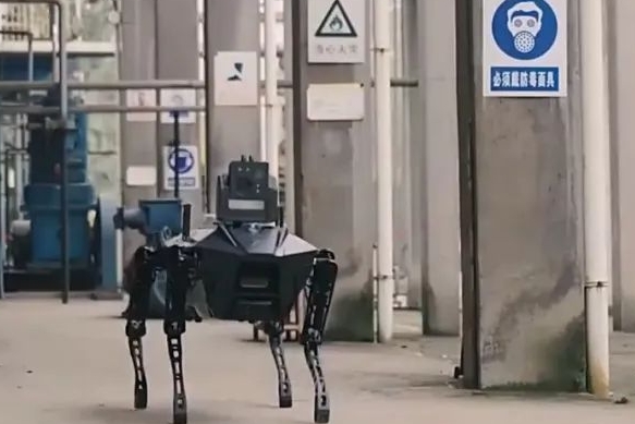 央视看重庆｜焦点访谈：重庆代表团代表为何带去一只桌面机器狗