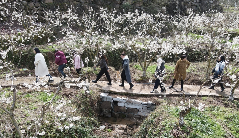 重庆石柱：妇女同胞踏青赏花 欢度“三八”国际妇女节