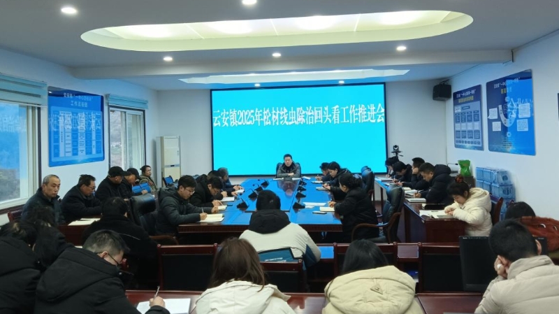 重庆云阳云安镇：打响松材线虫病防控攻坚战 筑牢三峡库区生态屏障