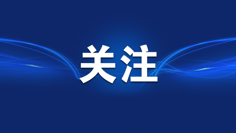 重庆全面监测黑叶猴 守护喀斯特“黑精灵”