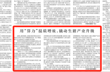 新华每日电讯看重庆｜用“算力”提质增效，撬动生猪产业升级