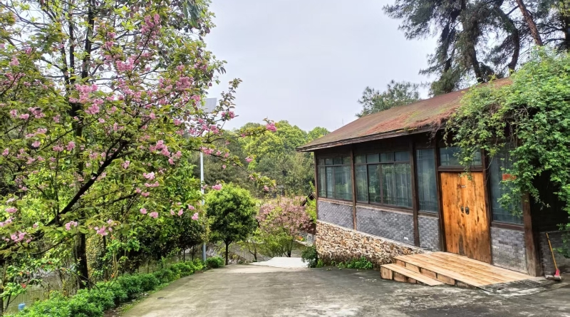 何桂英专栏｜逐梦乡村