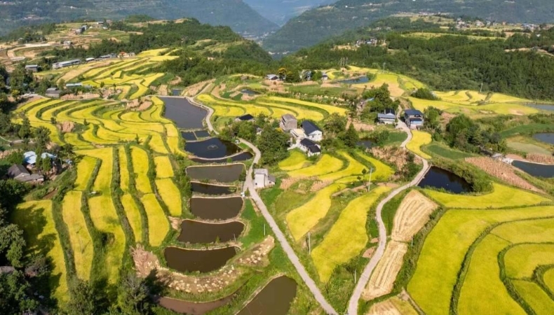 重庆云阳大阳镇：党群同心“蓄供护” 破解高山“水”困境