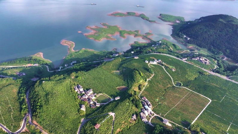 重庆忠县：长江之畔绘就生态富民新画卷