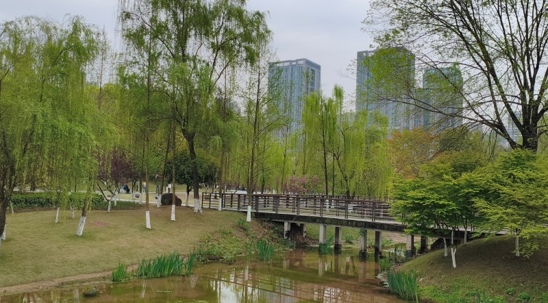 李亮专栏丨公园漫步