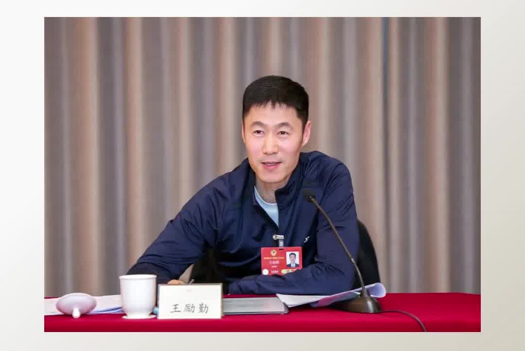 王励勤当选中国乒乓球协会新一任主席#王励勤#刘国梁