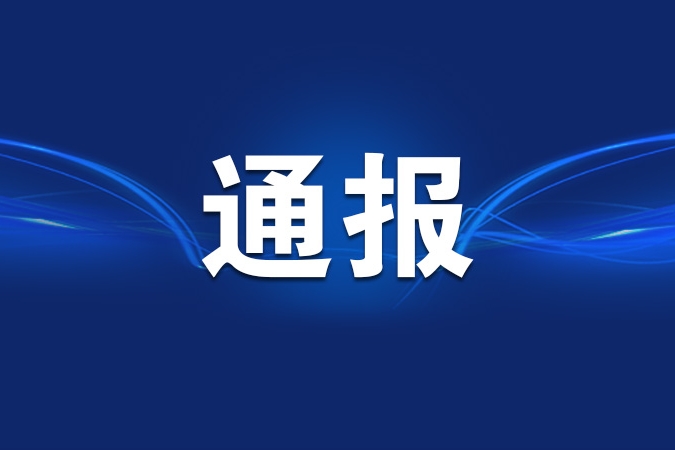 中央纪委国家监委公开通报十起违反中央八项规定精神典型问题