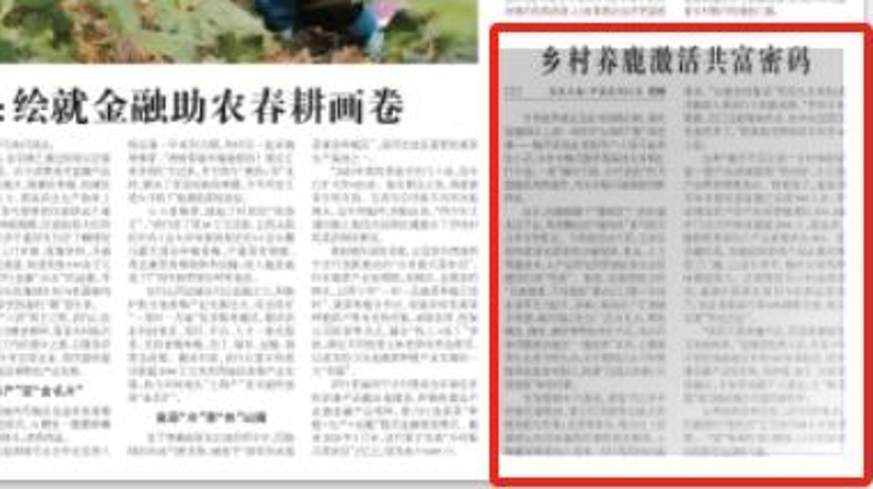 农民日报看重庆｜乡村养鹿激活共富密码
