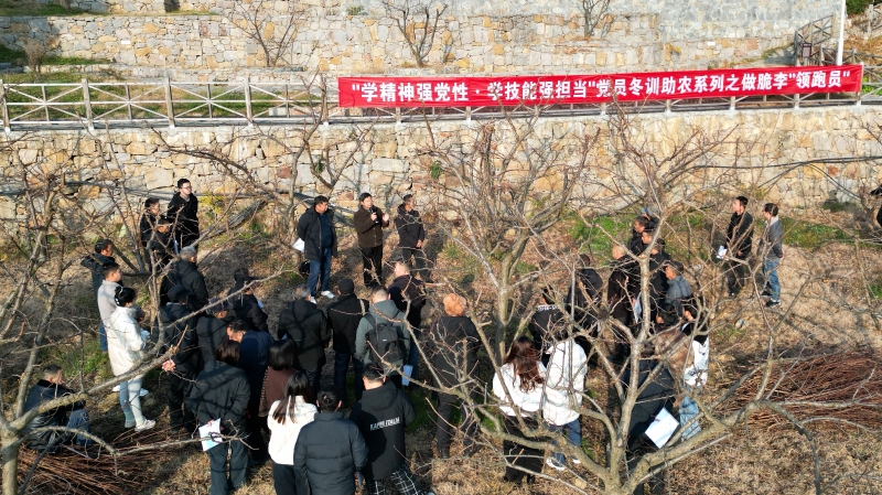 重庆巫山：“双学双强”冬训闭环助力强村富民