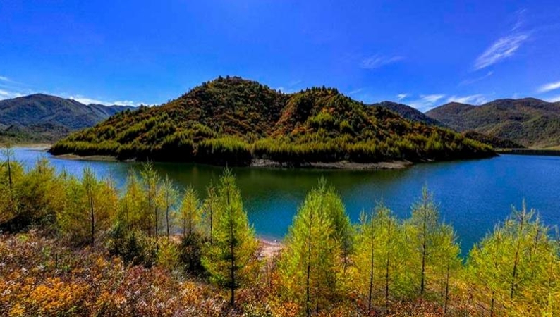 重庆巫溪：党建统领产业发展 助力链上企业“加速跑”