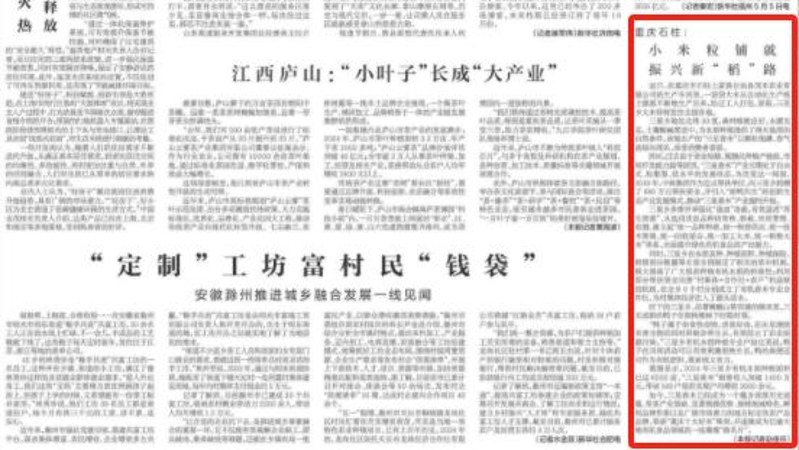 新华每日电讯看重庆 ｜石柱：小米粒铺就振兴新“稻”路
