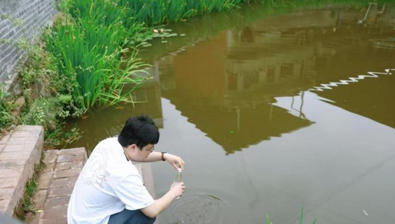 重庆璧山璧城街道：党建领航“生态治水”　黑臭水体变生态绿廊