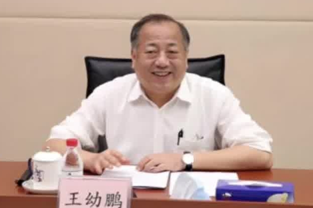 搞钱色交易、贪欲膨胀，深圳市政协原副主席王幼鹏被“双开”