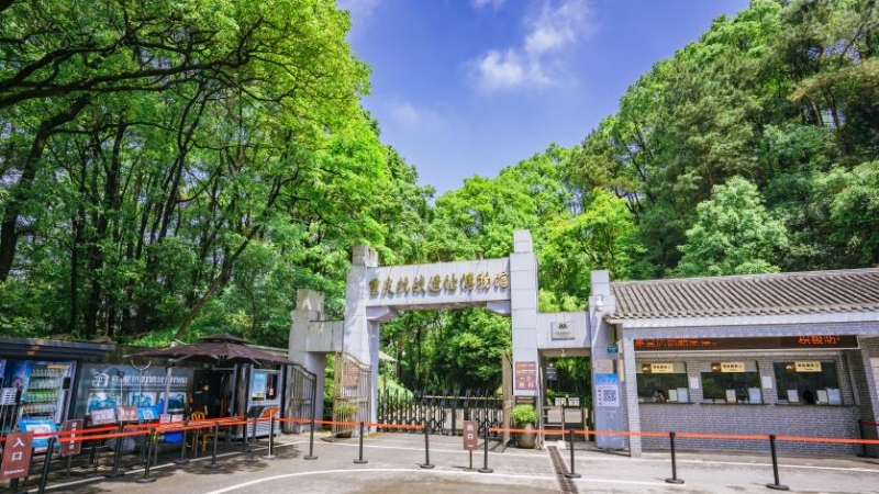 文学｜五月的歌（诗词一组）