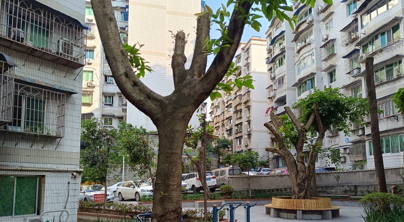重庆涪陵：党建联建聚合力 城市治理进社区