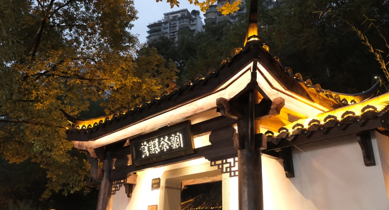 谭大松专栏｜穿越城市喧嚣