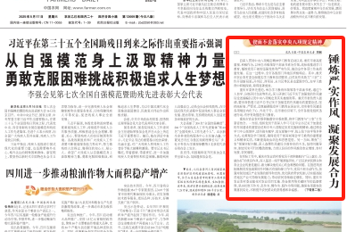 农民日报看重庆｜锤炼严实作风　凝聚发展合力