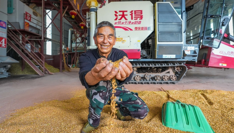 重庆垫江：麦香飘四方