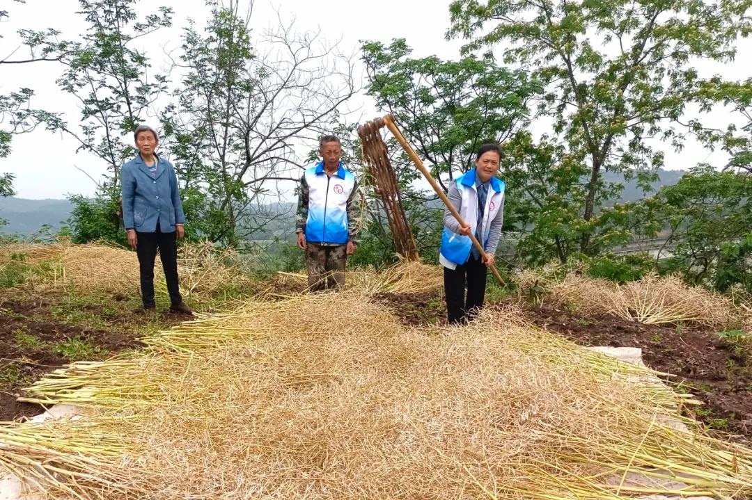 重庆潼南玉溪镇：“玉成七士”心系百姓需求 为民服务助农忙