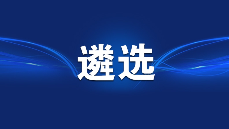 重庆两江新区公开遴选53人
