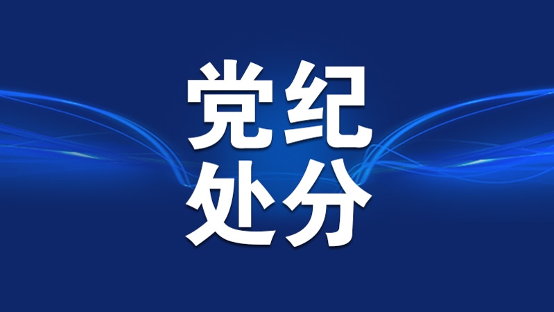 重庆市城市建设投资（集团）有限公司原党委书记、董事长王岳严重违纪违法被“双开”