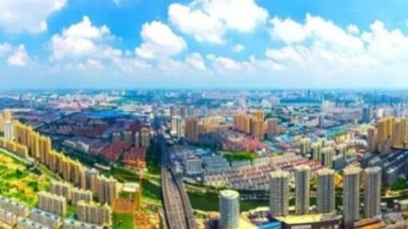 ​秦勇专栏｜以梦为马天地阔