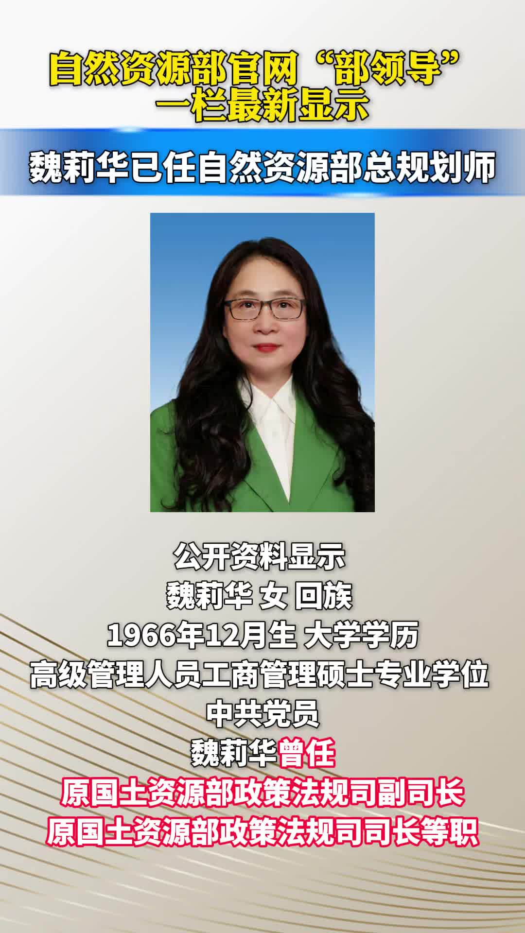自然资源部总规划师调整