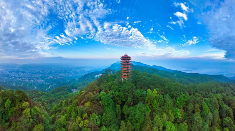 重庆北碚：数字赋能“小网格”托起基层治理“大民生”