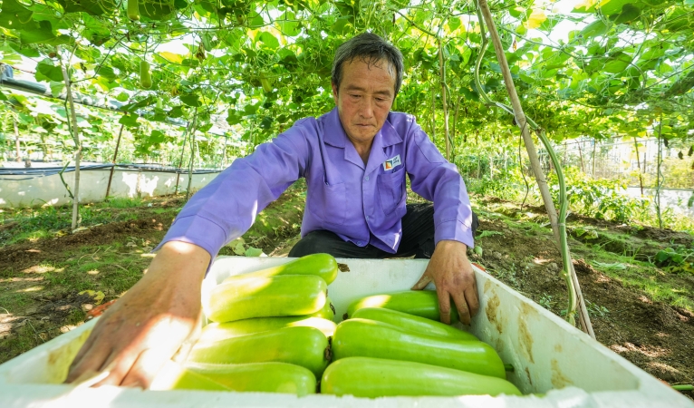 重庆垫江：产业兴旺绘就乡村画卷