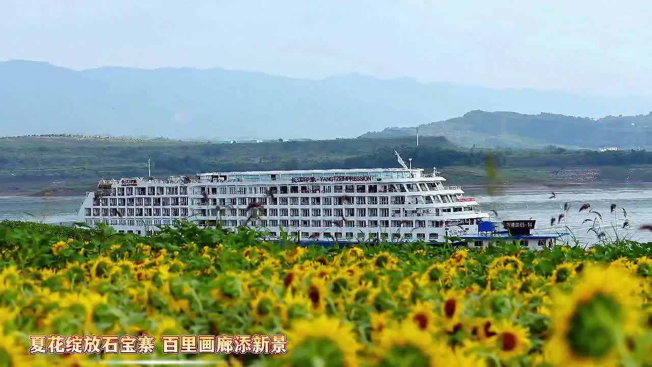 重庆忠县：夏花绽放石宝寨 百里画廊添新景