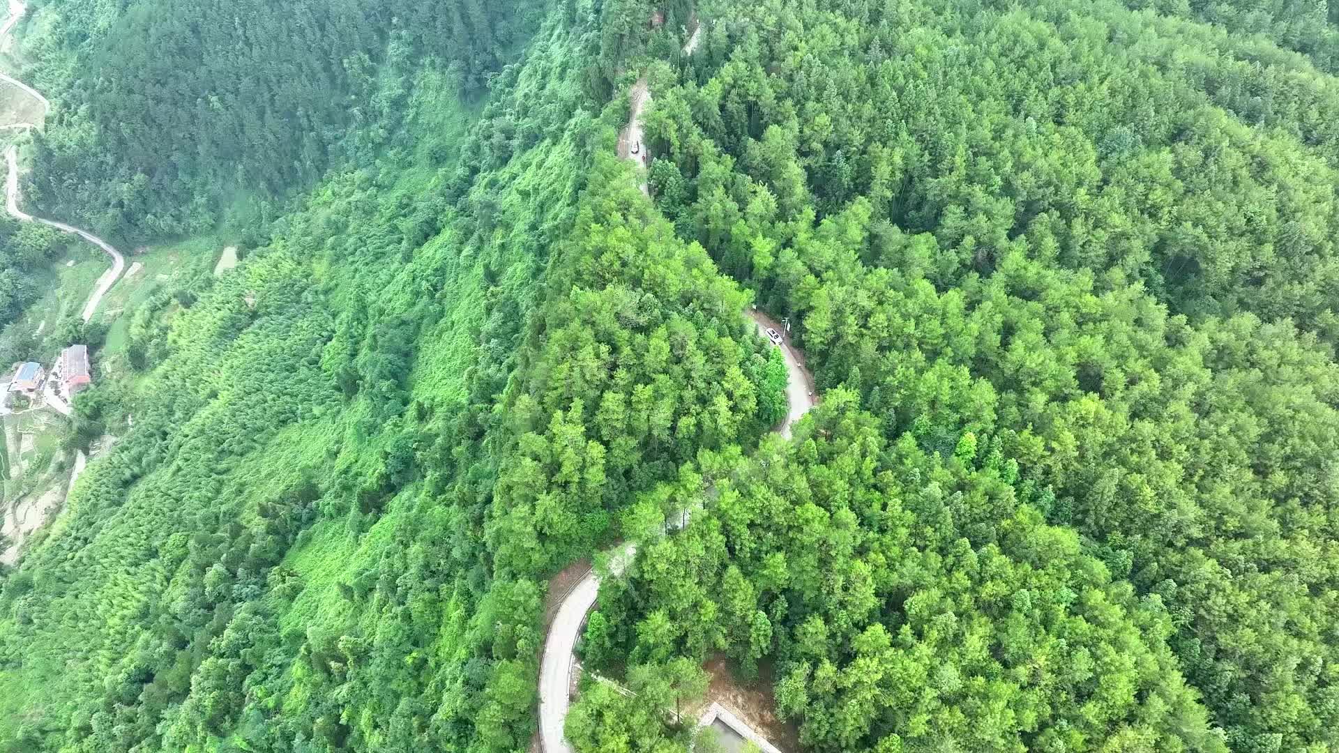 重庆忠县佛耳岩：解锁诗意山居新“森”活