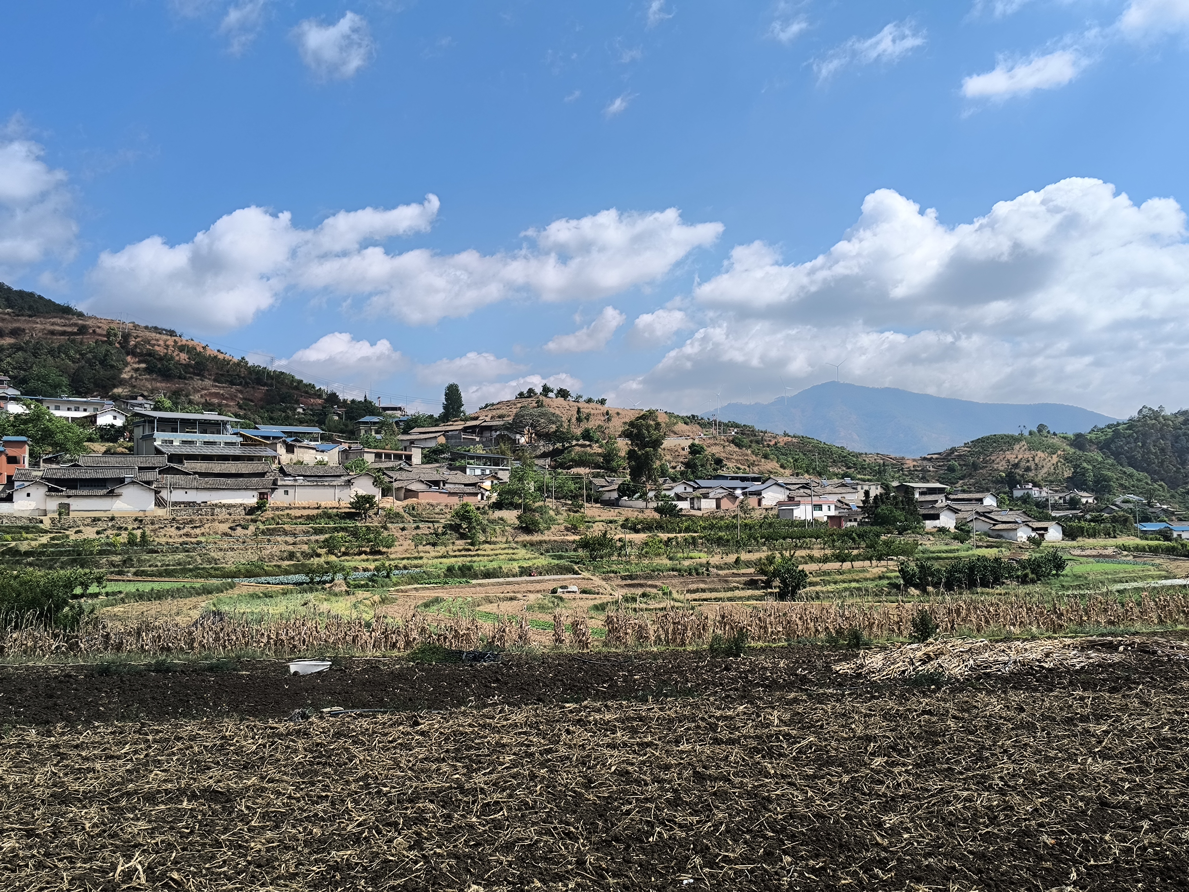 陈泰湧专栏|如果赠我一座小城
