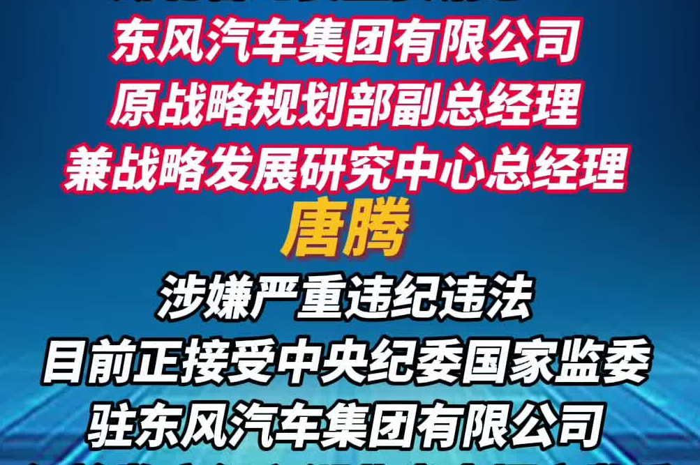 东风汽车集团有限公司原战略规划部副总经理唐腾被查