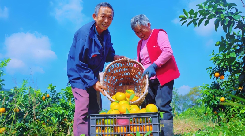 重庆綦江：这条马拉松跑道成了乡村振兴“致富赛道”